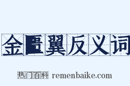 金匮翼反义词是什么意思的图片